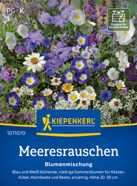 Blumensamen-Mischung Meeresrauschen