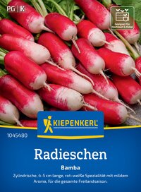 Rote und weiße Radieschen mit grünen Blättern und Wurzelstummel.