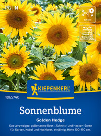Sonnenblumensamen Golden Hedge