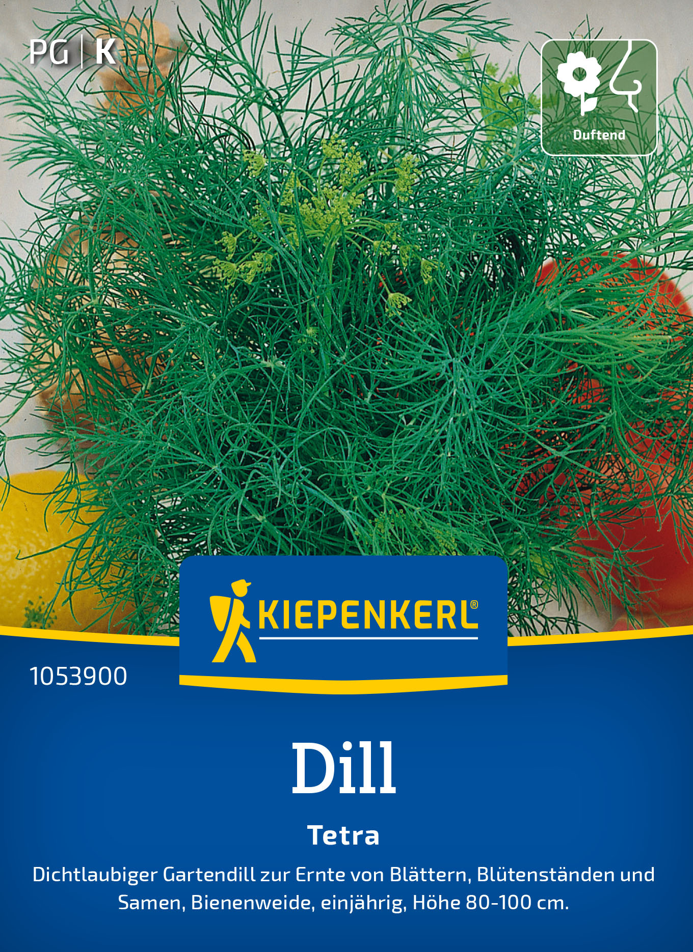 Dillsamen Tetra