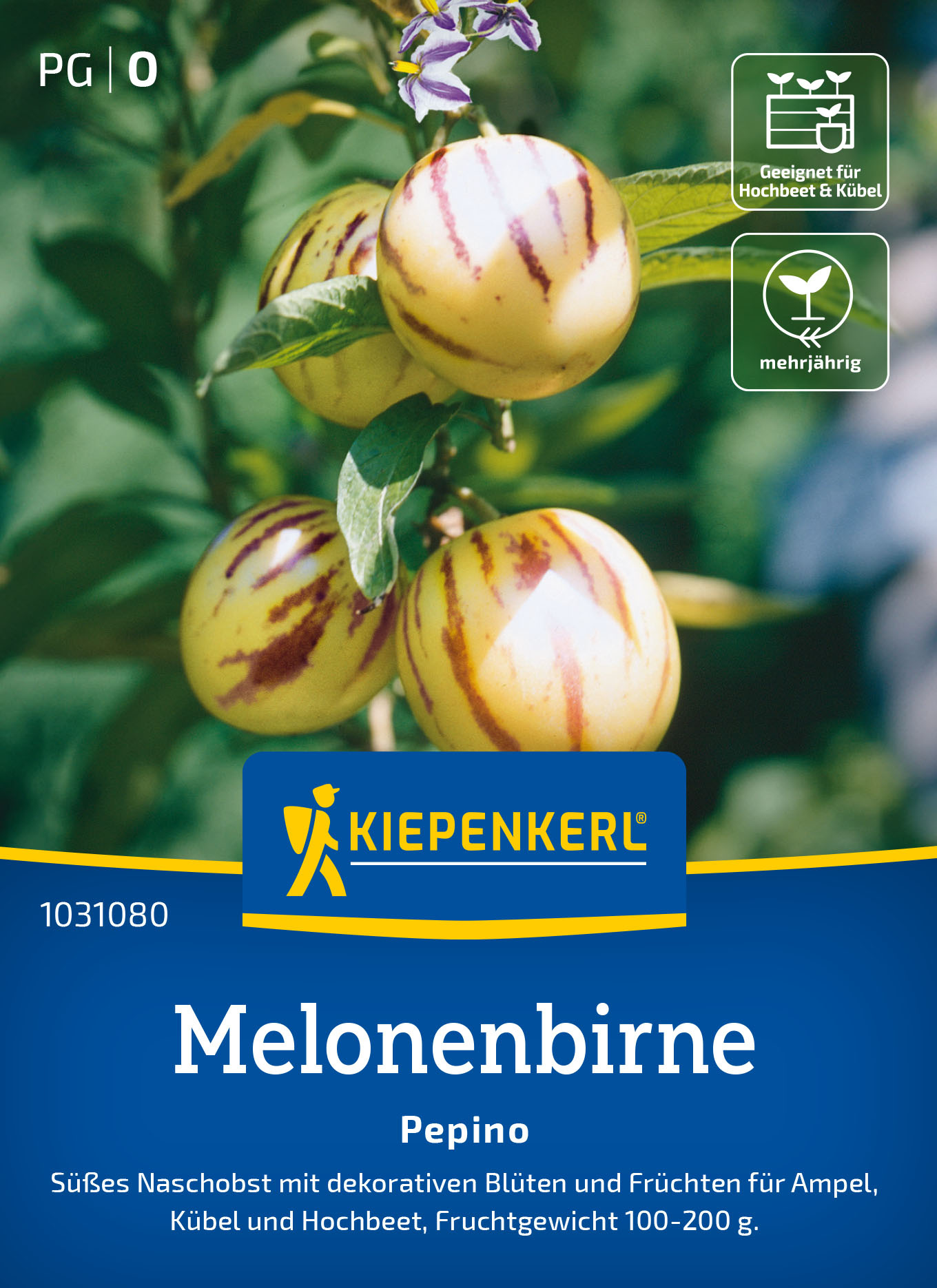 Pepinosamen Melonenbirne