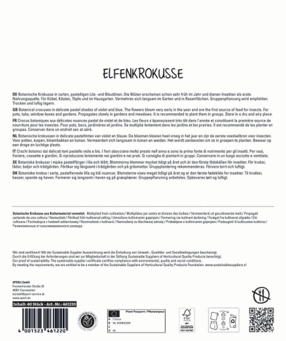 Maxi-Pack Elfenkrokus Mix