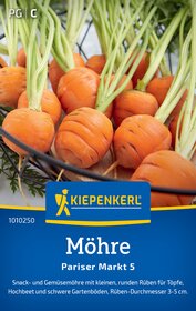 Kleine runde Möhren mit grünen Stielen, für Töpfe, Hochbeet und Gartenböden, Durchmesser 3-5 cm.