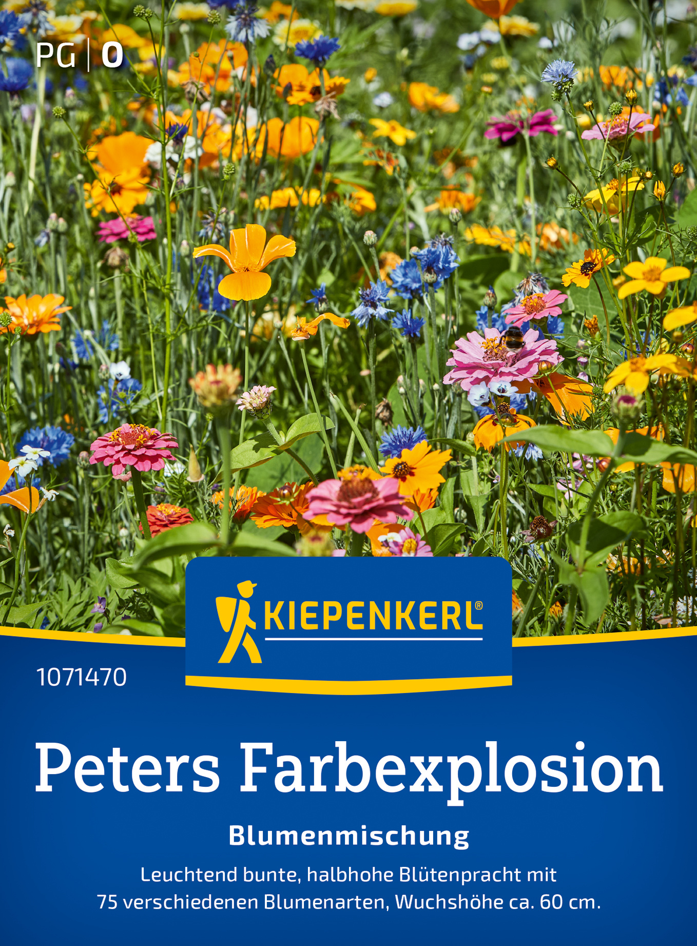 Blumenmischungsamen Peters Farbexplosion