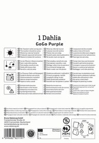 Verspätete Blüte, Text "1 Dahlia GoGo Purple" in der Mitte, mehrere Pflege- und Pflanztipps in verschiedenen Sprachen, Barcode, Logos.