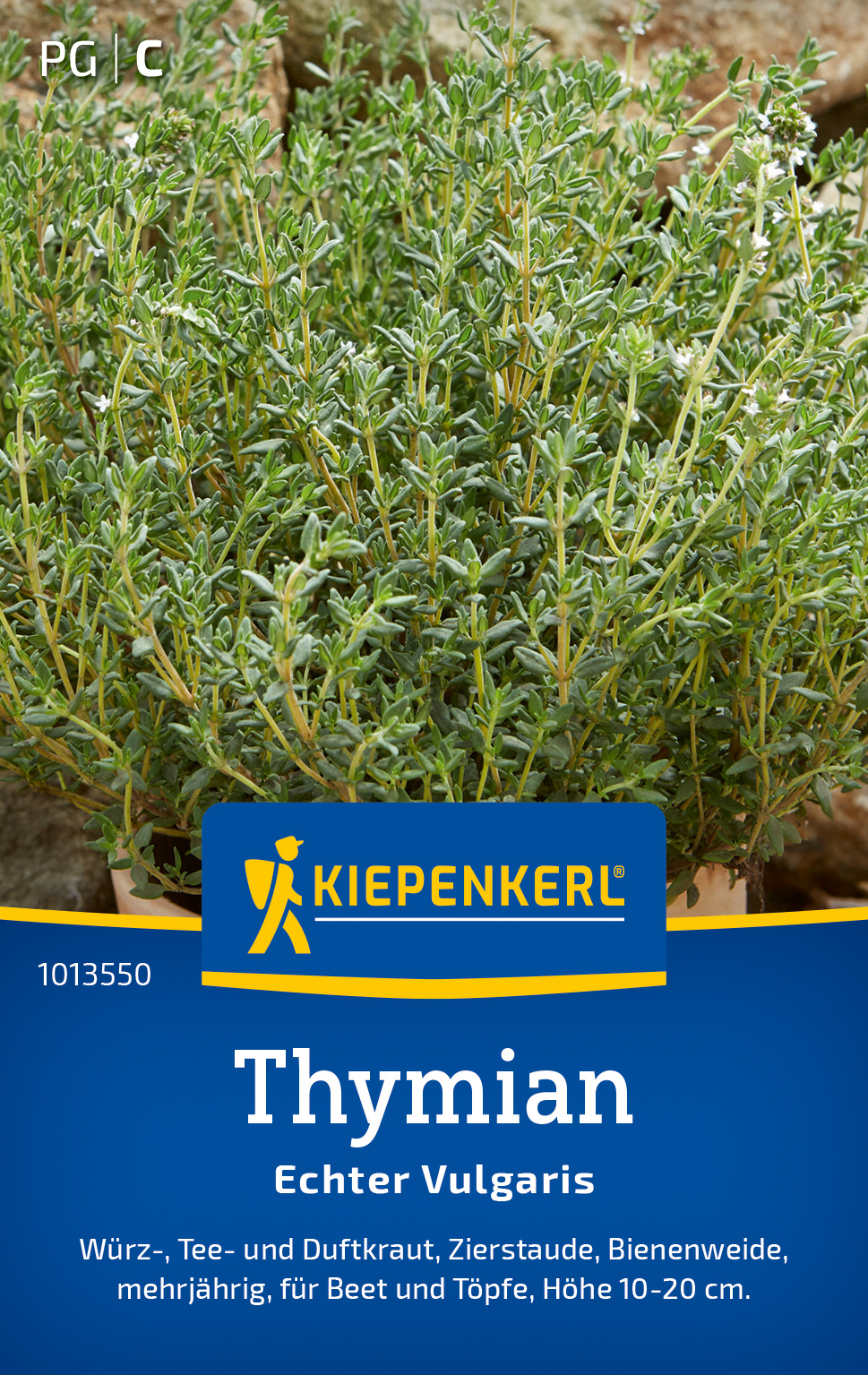 Thymianpflanze mit grünen, buschigen Blättern auf Pflanzensamenverpackung.