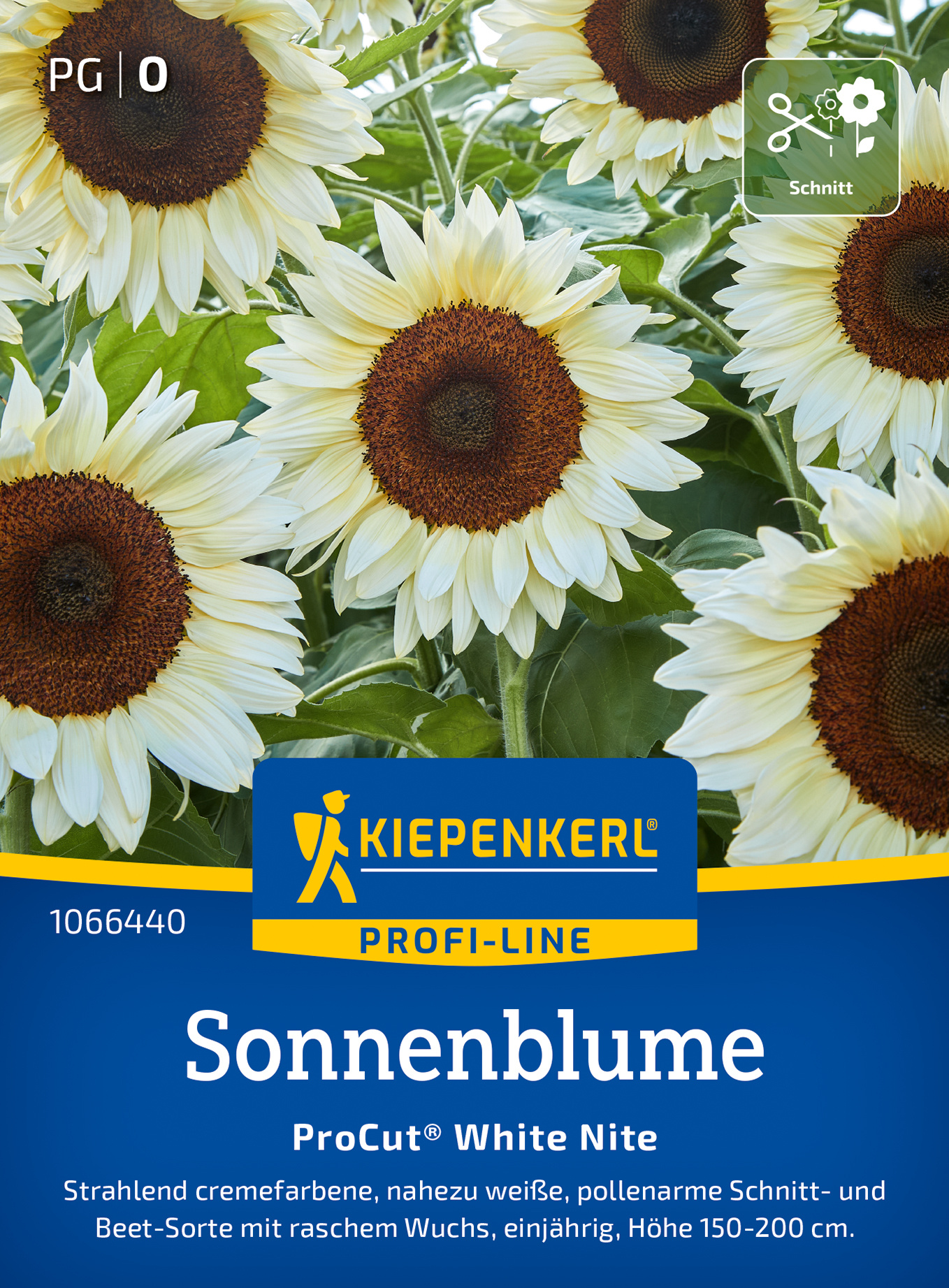 Sonnenblumensamen ProCut® White Nite, F1