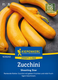 Zucchinisamen Shooting Star, F1