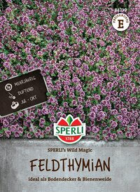 Feldthymiansamen SPERLI's Wild Magic