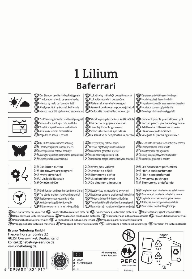 Anleitungstext für Lilium in mehreren Sprachen mit Symbolen, Standort, Herstellerangaben und Verpackungsdetails.