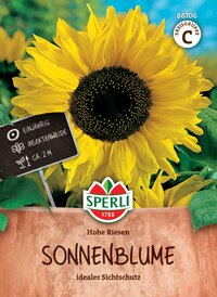 Sonnenblumensamen Hohe Riesen