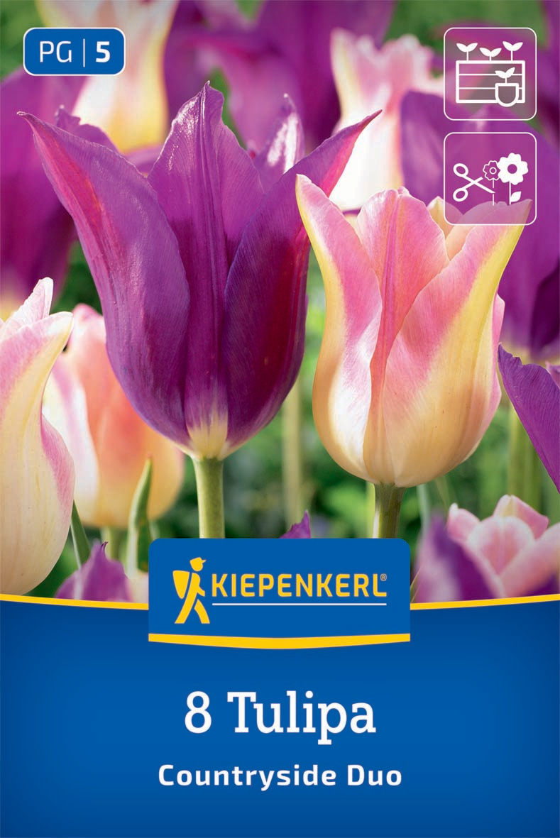Tulpenmischung Countryside Duo