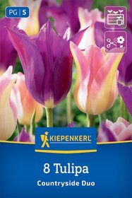 Tulpenmischung Countryside Duo