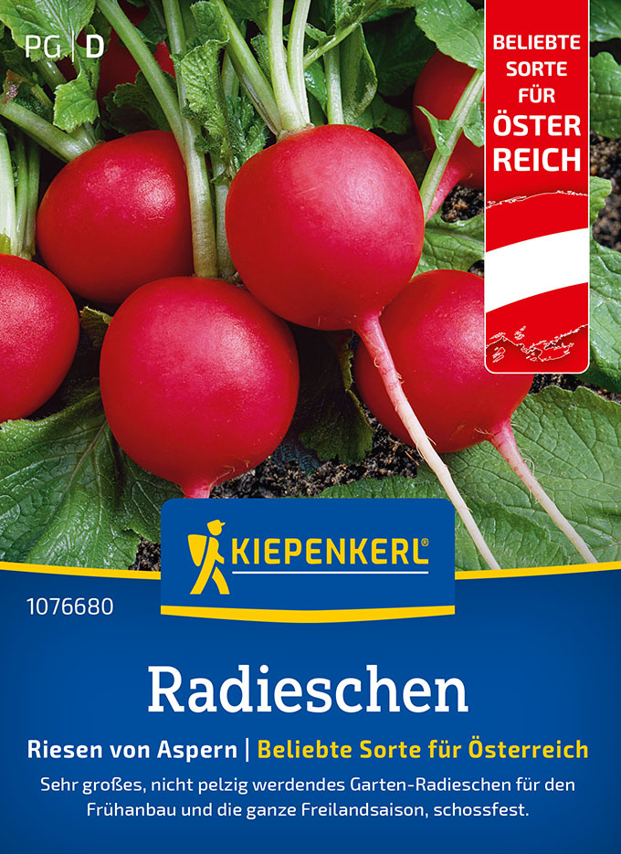 Radieschensamen Riesen von Aspern