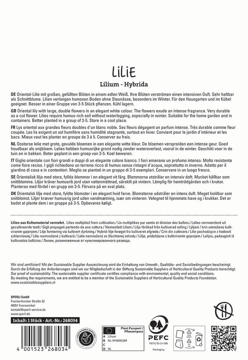Oriental Lilie mit großen, gefüllten Blüten in Weiß, verströmend intensiven Duft, geeignet für Garten und Kübel.