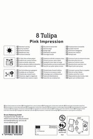 Darwin-Hybrid-Tulpe Pink Impression