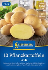 Mehrere gelbe Kartoffeln, eine halbierte und eine im Hintergrund, auf einer Holzoberfläche.