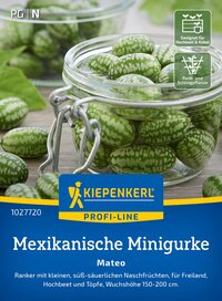 Glas mit grün-weiß gestreiften mini Wassermelonen, einige auf Holzoberfläche, mit grünen Blättern im Hintergrund.