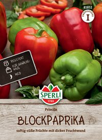 Paprikasamen Priscila, F1