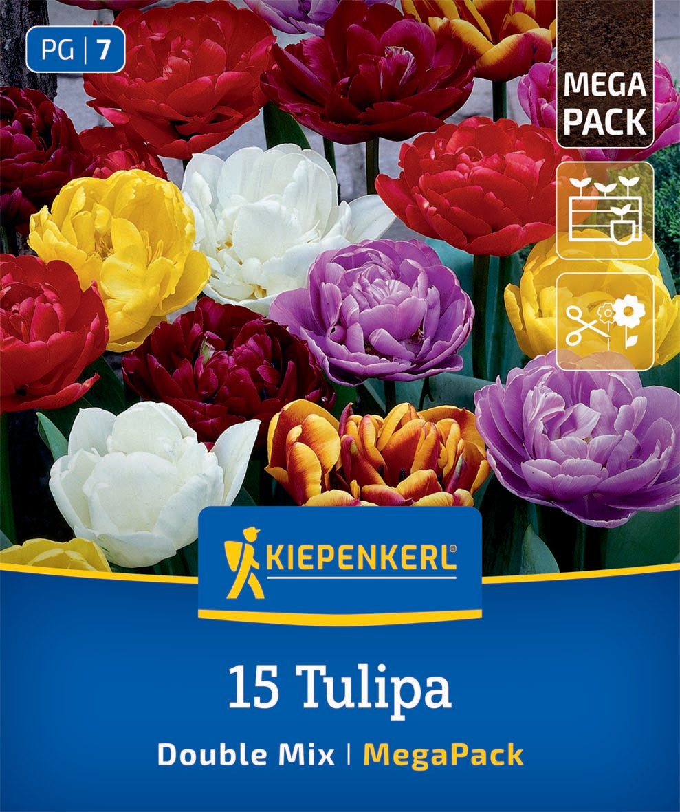 Mega-Pack Gefüllte Tulpen Mischung