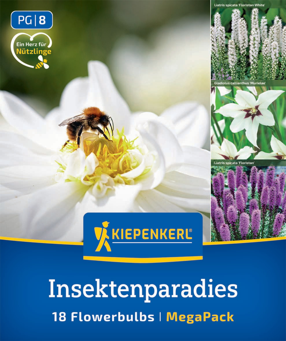 Eine Biene auf einer weißen Blume, vier kleine Fotos von weißen und lila Blumen, Kiepenkerl Logo, Text.
