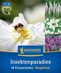 Eine Biene auf einer weißen Blume, vier kleine Fotos von weißen und lila Blumen, Kiepenkerl Logo, Text.