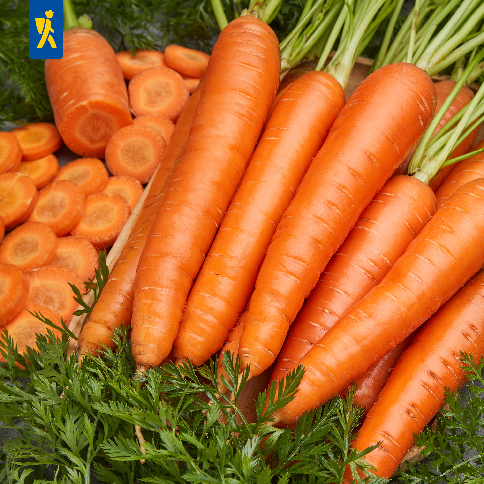 Mehrere große, orange Karotten, einige halbiert, mit grünen Blättern.