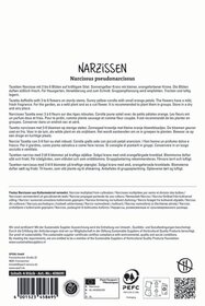 Poetaz-Narzisse Martinette