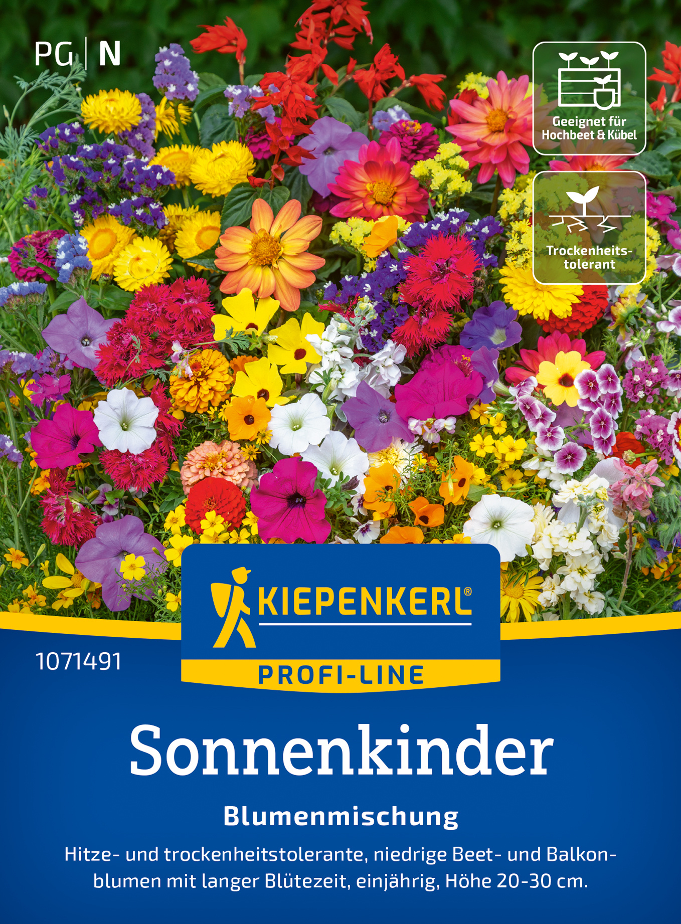 Blumensamen-Mischung Pflegeleichte Sonnenkinder