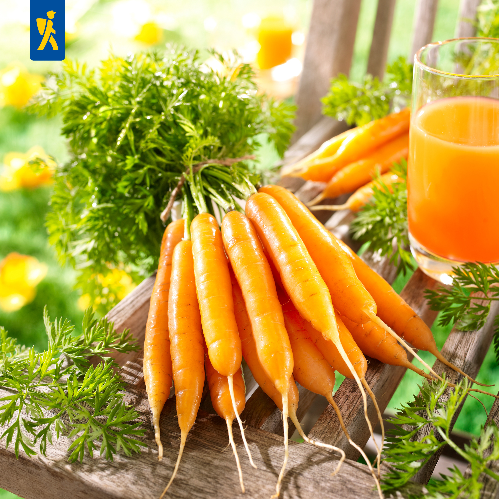 Frische Karotten mit grünen Blättern und ein Glas Orangensaft auf Holzbank.