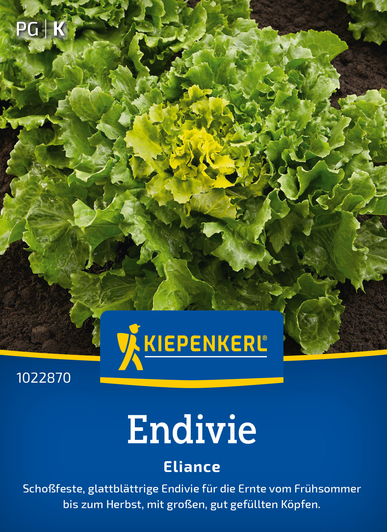 Endiviesamen Eliance