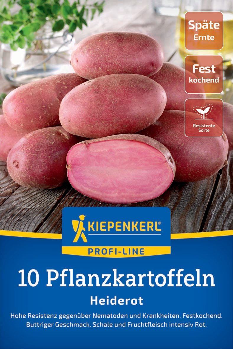 Pflanzkartoffel Heiderot, 10 Stück
