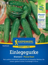 Gläser mit eingelegten Gurken, umgeben von Gurken und grünen Blättern auf buntem Stoff.