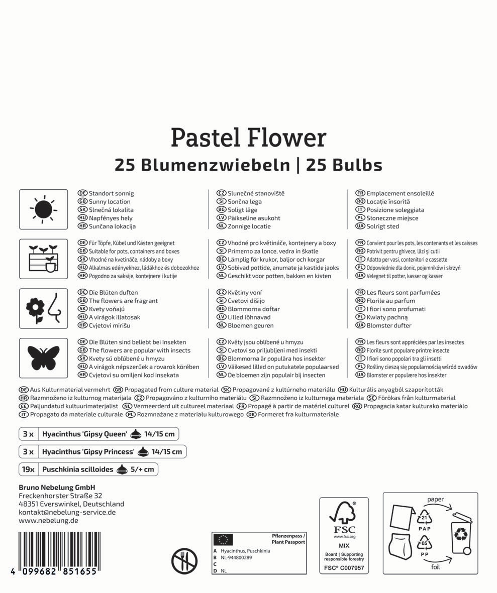 Mega-Pack Blumenzwiebelmischung Pastel Flower