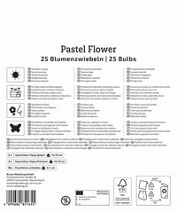 Mega-Pack Blumenzwiebelmischung Pastel Flower