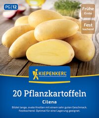 Mehrere gelbe, ovale Kartoffeln auf Holzoberfläche, eine halbierte Kartoffel im Vordergrund.