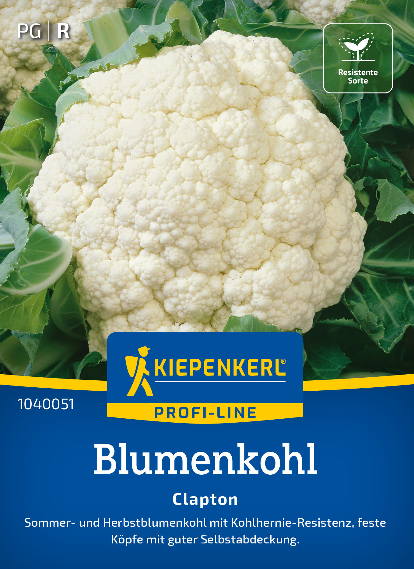Blumenkohlsamen Clapton, F1