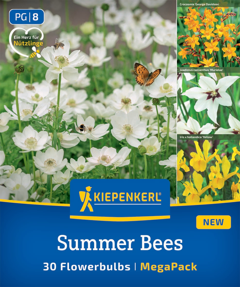Weißer Blütenmeer mit Bienen, Schmetterling und grünen Stengeln, kleinere Blütenknospen, grüne Blätter.