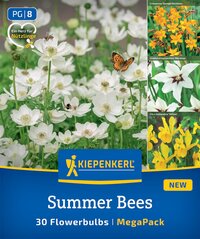 Weißer Blütenmeer mit Bienen, Schmetterling und grünen Stengeln, kleinere Blütenknospen, grüne Blätter.