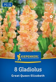 Orange Gladiolus Blumen mit grünen Blättern im Hintergrund.