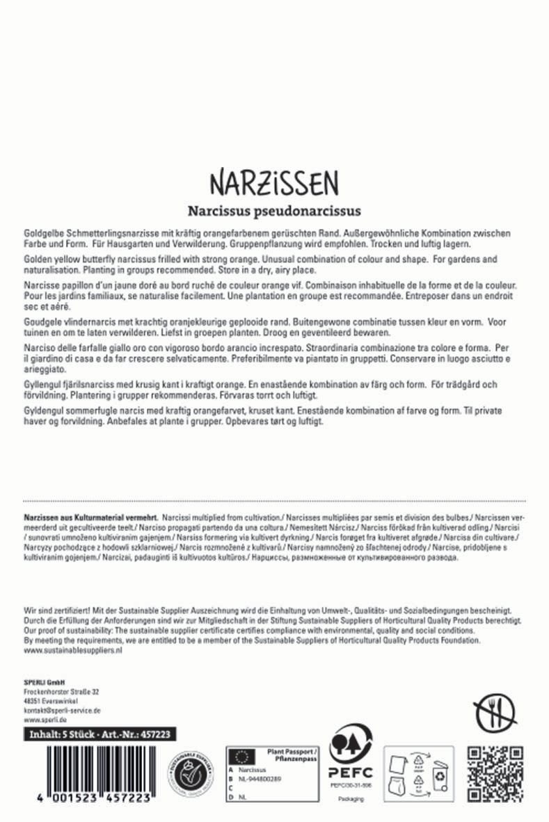 Premium Spleißkronige Narzisse Blazing Starlet