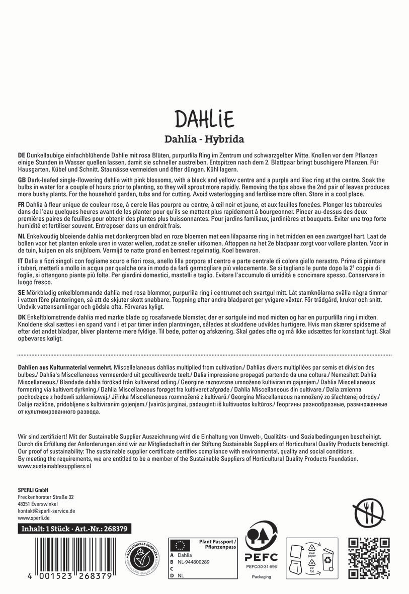 Text auf der Verpackung mit Beschreibung der Dahlie Yucca in verschiedenen Sprachen und Anbieterinformationen.