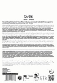 Text auf der Verpackung mit Beschreibung der Dahlie Yucca in verschiedenen Sprachen und Anbieterinformationen.