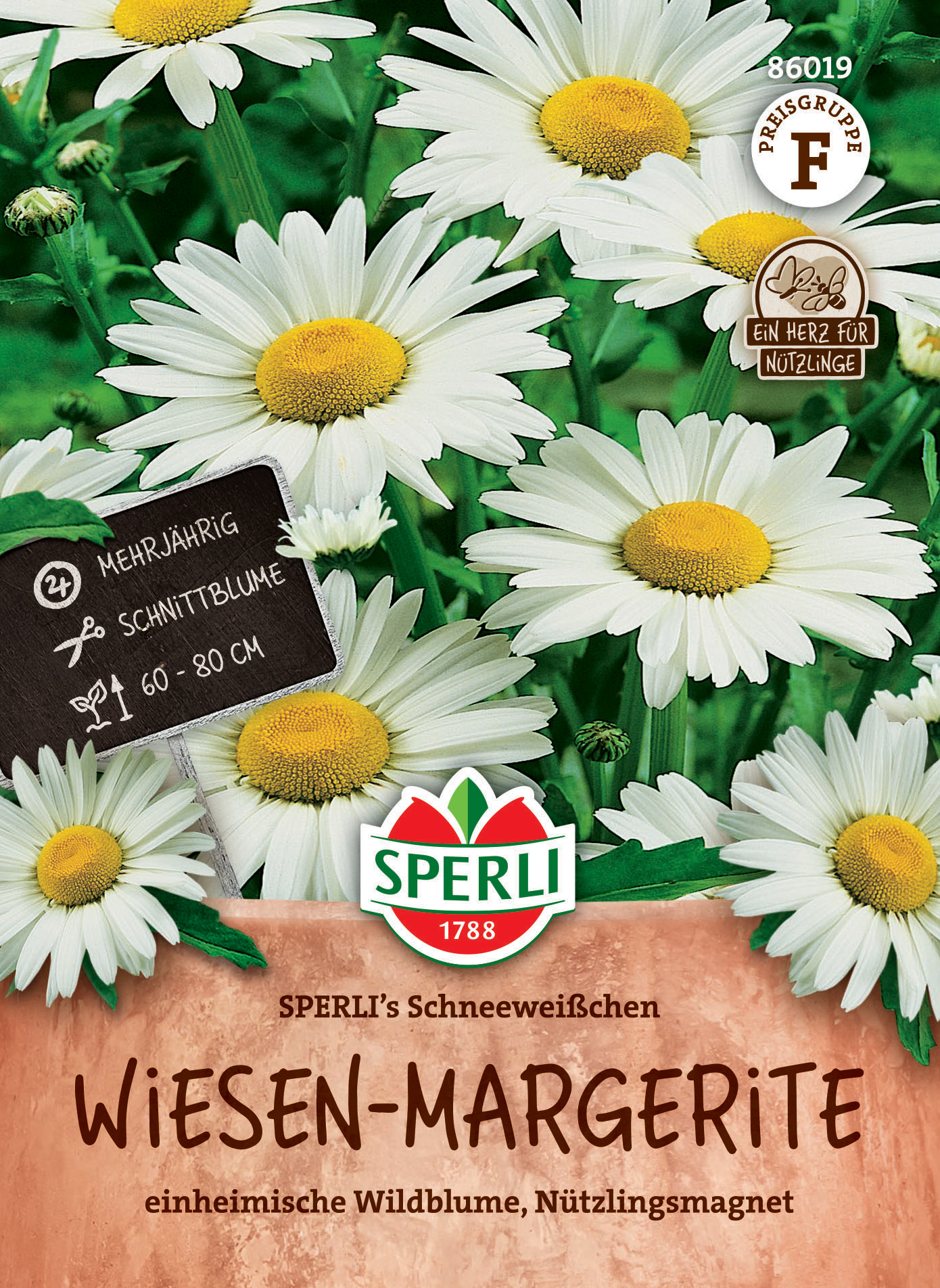 Weiße Gänseblümchen mit gelber Mitte auf grünem Hintergrund, Pflanzencotelette mit Schild.