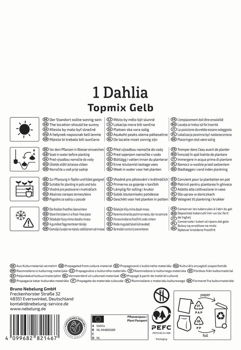 Text auf der Verpackungsanleitung für eine Dahlia Topmix Gelb, mit Anweisungen in mehreren Sprachen und Symbolen.