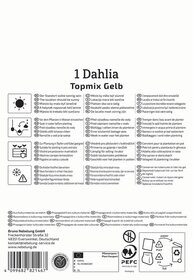 Text auf der Verpackungsanleitung für eine Dahlia Topmix Gelb, mit Anweisungen in mehreren Sprachen und Symbolen.