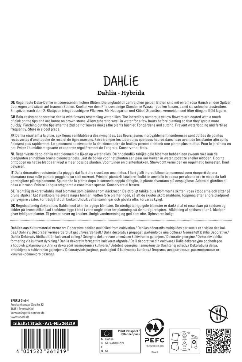 Dahlie Pacific Ocean