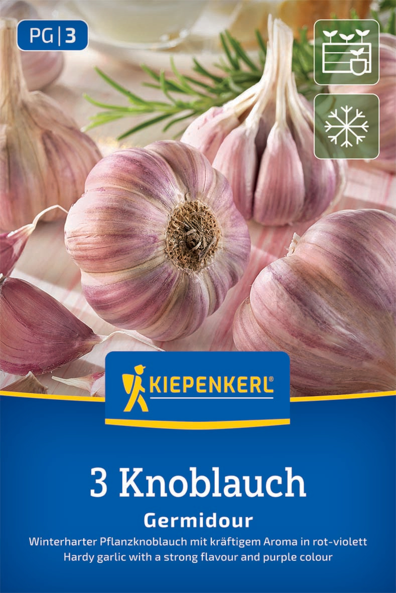 Winterknoblauch Germidour