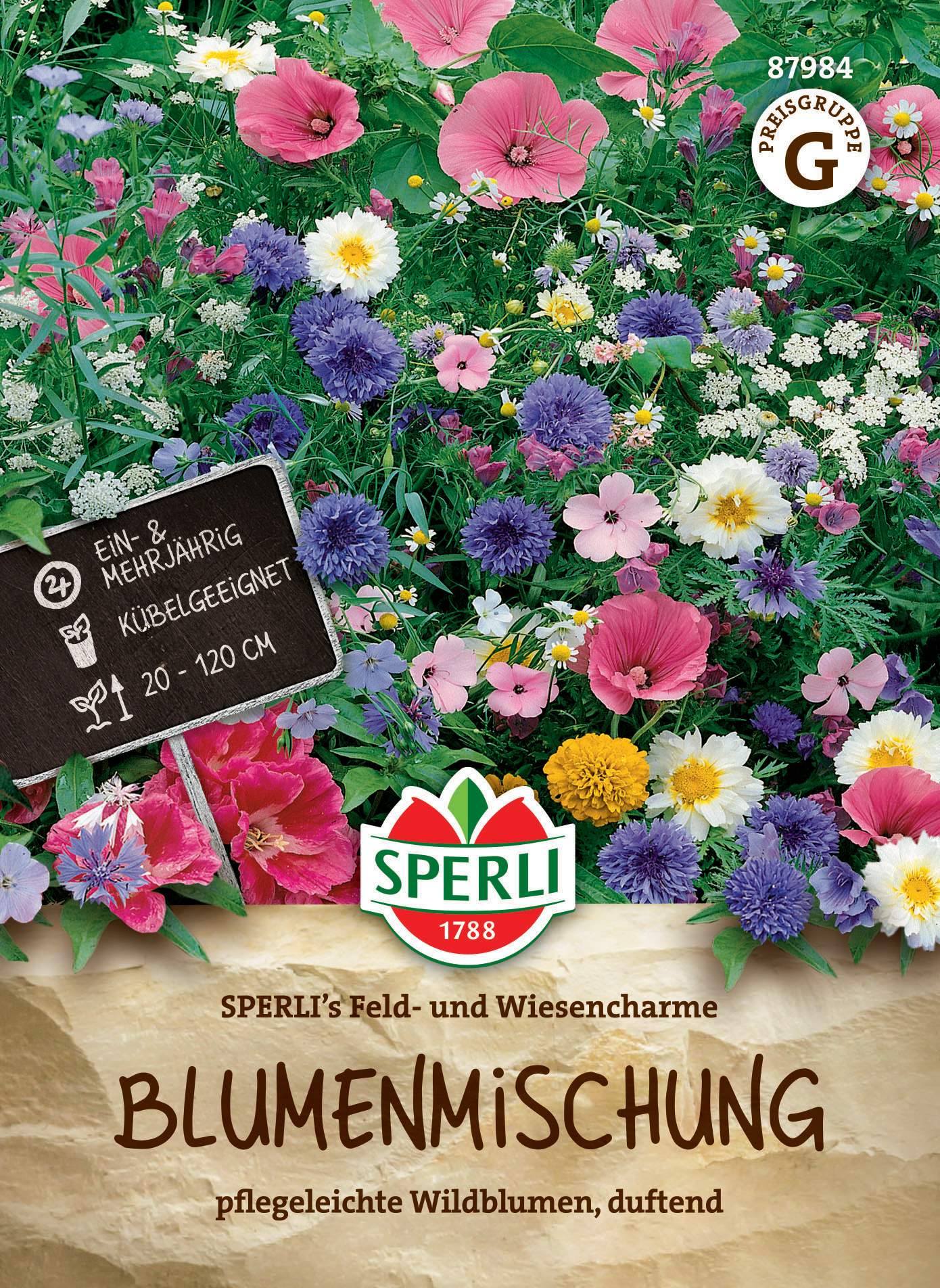 Blumensamen-Mischung Feld- und Wiesencharme