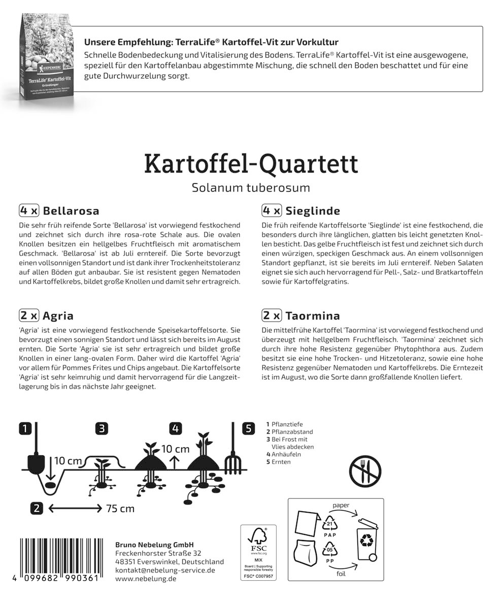Pflanzkartoffel Quartett Reifezeit, 12 Stück